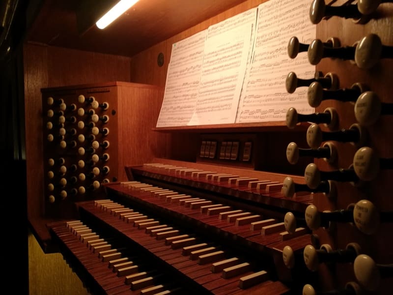 orgue la seu