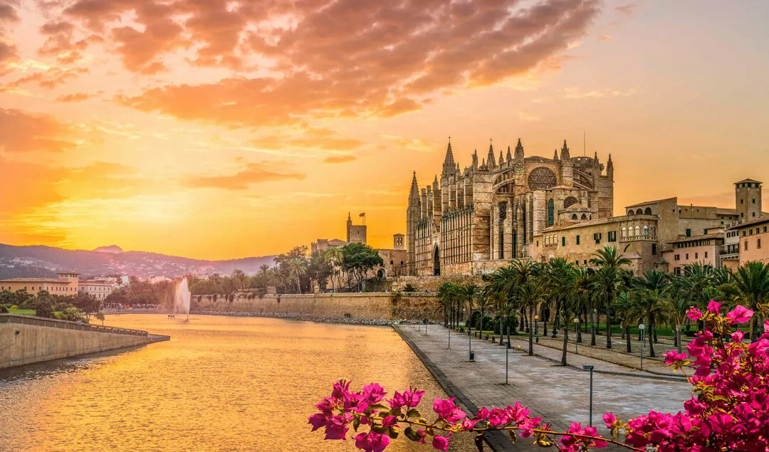 La Seu commemora la patrona de la música amb el  tradicional concert de Santa Cecília