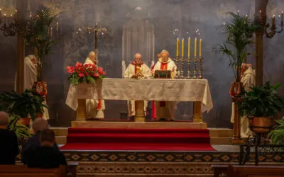 La Catedral celebra el dia de la Dedicació