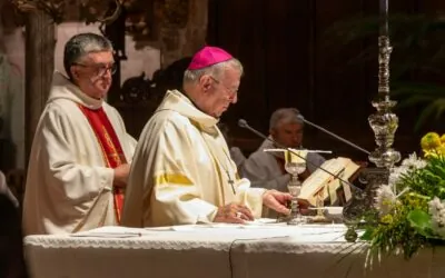 La Catedral celebra el 680è aniversari del dia de la Dedicació